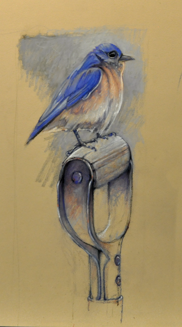 Work Day- Blue Bird