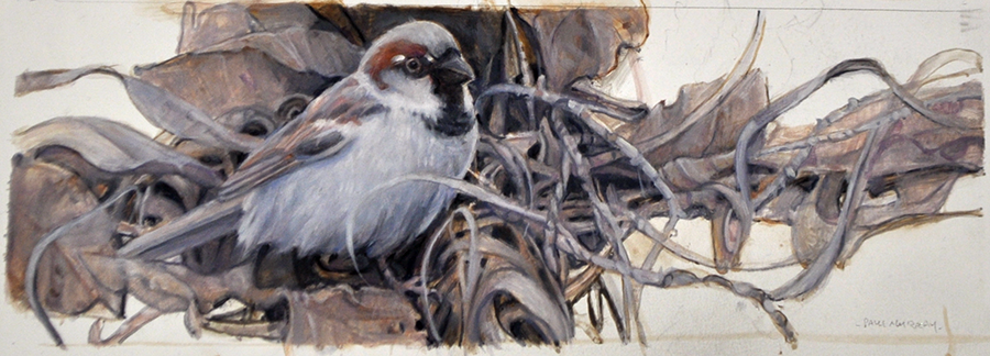 Sparrow on Forest Floor