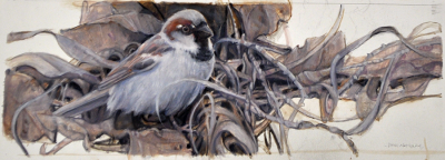 Sparrow on Forest Floor